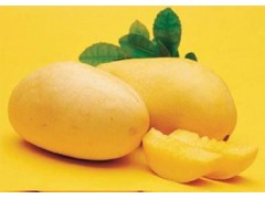Poud ji Mango