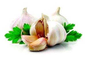 Lay poud