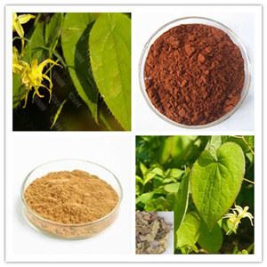epimedium extract