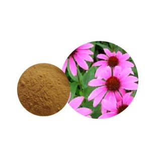 Coneflower èkstre