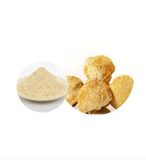 Organic Hericium djondjon ekstrè poud