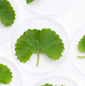 Centella asiatica ekstrè benefis nan swen pou po