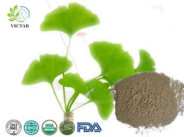 Òganik Ginkgo Biloba Poud